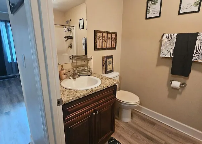 Cute Comfy Prime Location Tallahassee